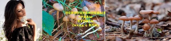 синтетический гашиш Алзамай